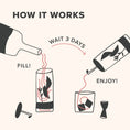 Load image into Gallery viewer, Cocktail Infusion Kit - 6 flavors - Fancy That
