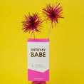 Load image into Gallery viewer, Birthyay Babe - Birthday Shower Steamers - Grapefruit - Fancy That
