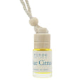 Load image into Gallery viewer, Car Diffuser- Blue Citrus - Fancy That
