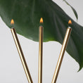 Load image into Gallery viewer, Forever Candles -  Gold - Fancy That
